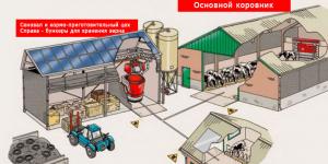 Бизнес-план по разведению КРС