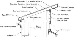 Куриная ферма как бизнес: рентабельность и с чего начать